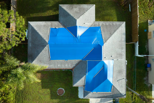 Best Roof Moss and Algae Removal  in Chetek, WI