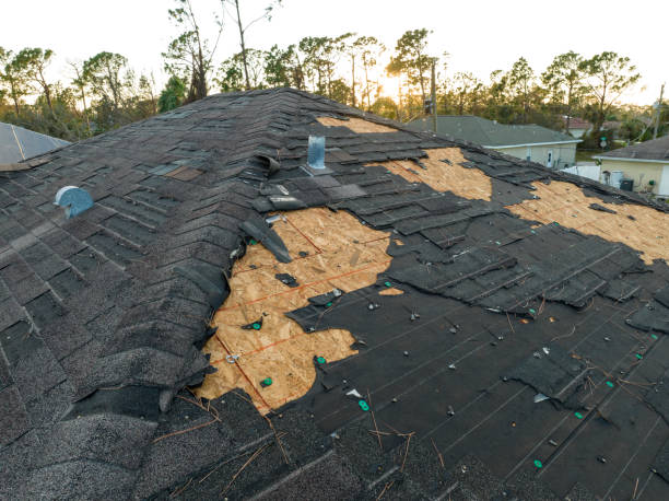 Chetek, WI Roofing Service Pros