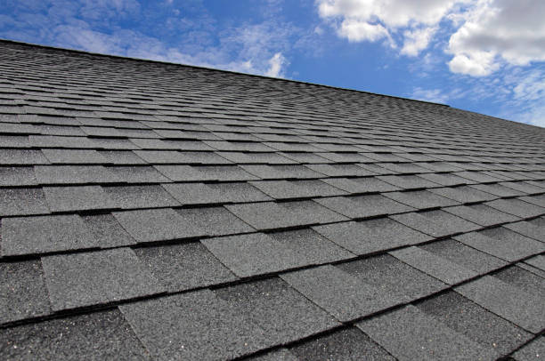 Best Roof Maintenance and Cleaning  in Chetek, WI